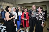 Posse Nova Diretoria Gest&atilde;o 2025-2028