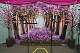 Recital de Primavera Vozes e Versos 2024