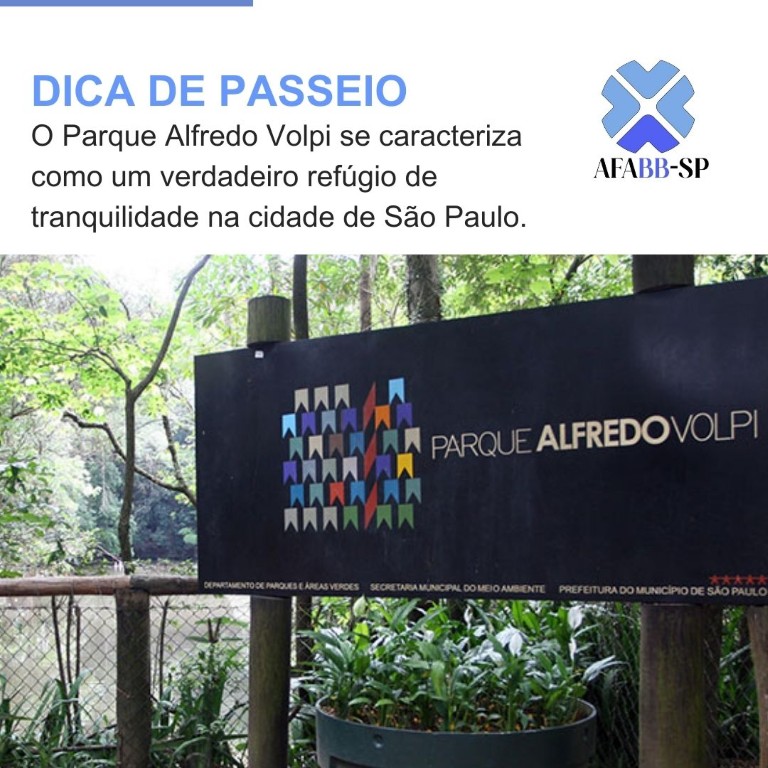 Dica de passeio: conheça o Parque Alfredo Volpi 