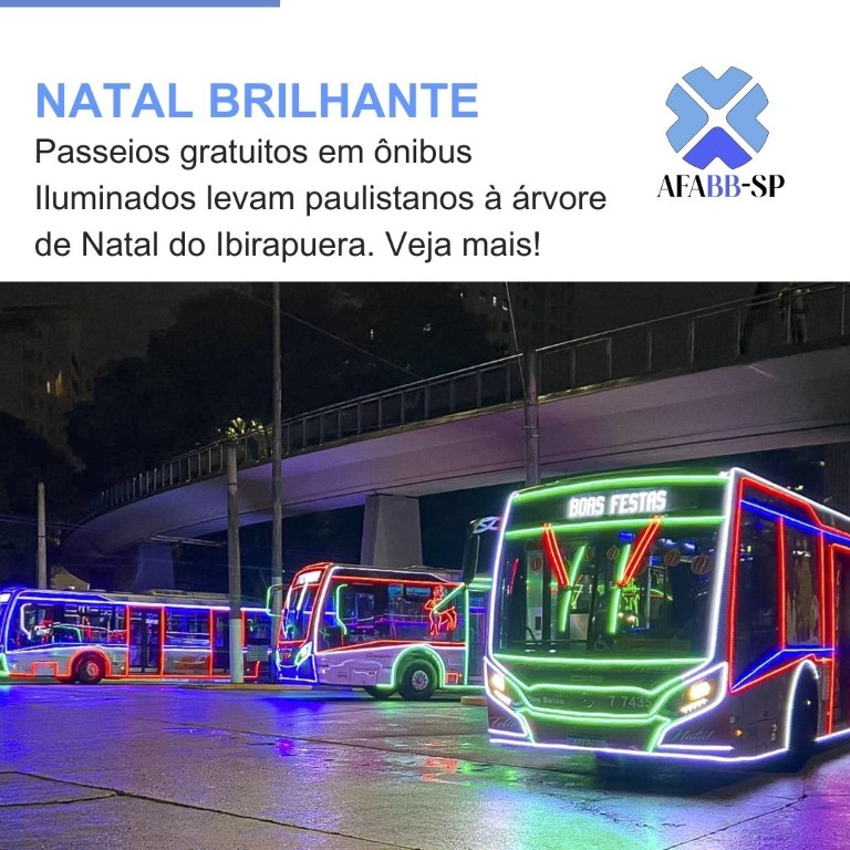Prefeitura de São Paulo promove passeios gratuitos em ônibus iluminados para visitar a Árvore de Natal do Ibirapuera