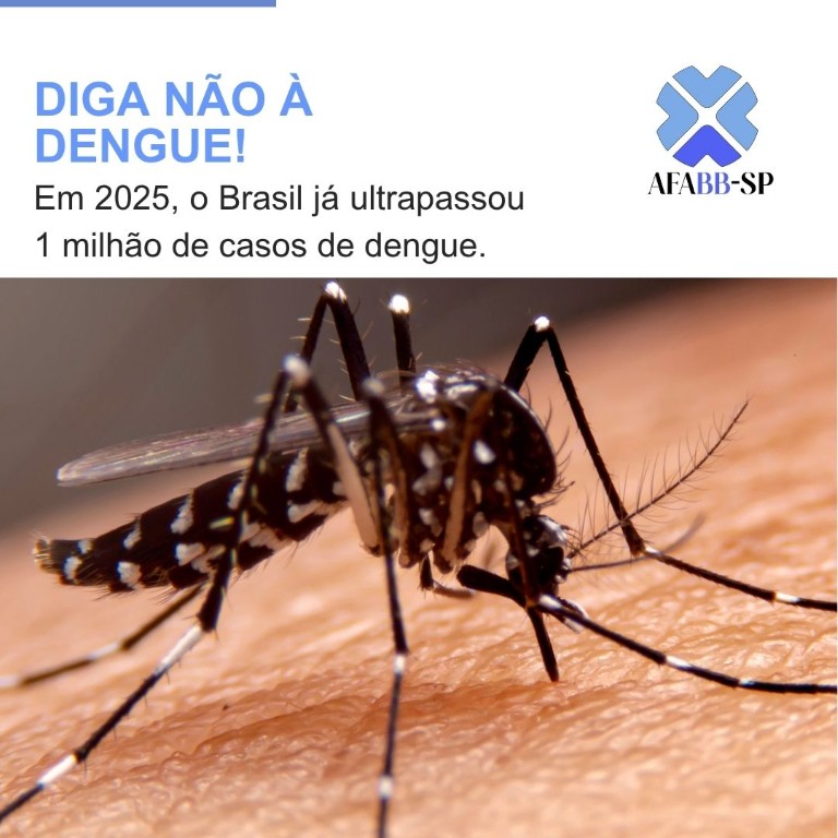 ATENÇÃO: O combate ao Aedes aegypti começa com pequenas ações diárias