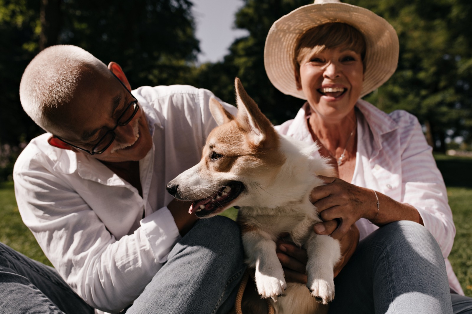 Ter um cachorro reduz em 40% risco de demência em idosos, diz estudo